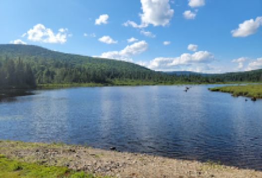 Deer Mountain Campground景点图片