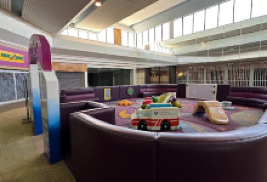 Insanity Haunted House景点图片