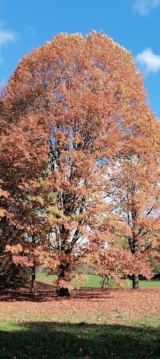 Parco della Pellerina-都灵