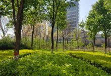 沧州滨河公园景点图片