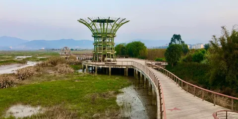 塔礁洲濕地公園