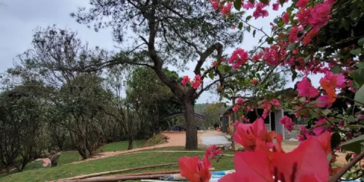 露營者休閑營地