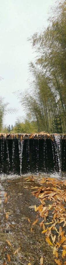 宣汉县峨城竹海公园-宣汉