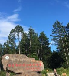 国家地质公园仙翁山树化石群落-长子
