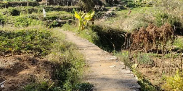 英都天馬山登山步道
