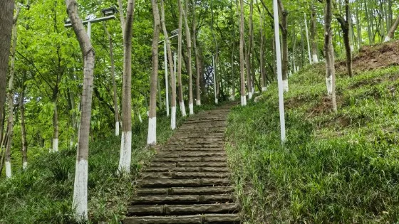 木崖公園