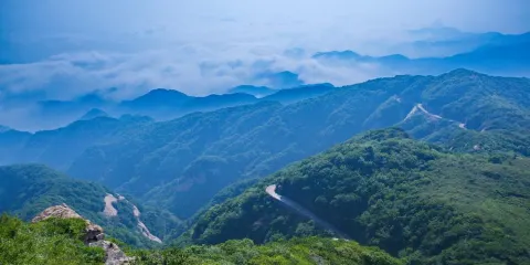 太白頂風景區陳順照蜂場