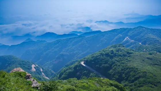 太白頂風景區陳順照蜂場