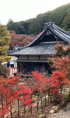 Fumon-ji Temple-丰桥市