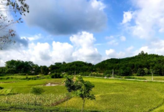 Nhà văn hoá bản ven景点图片