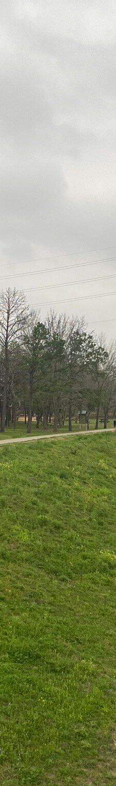 赫曼公园-休斯敦