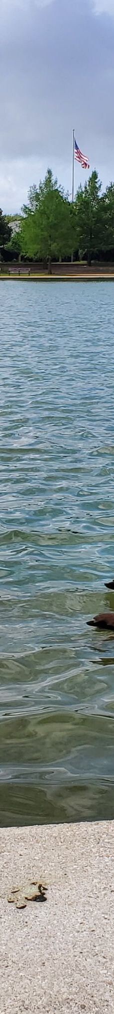 赫曼公园-休斯敦