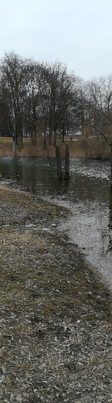 Parco della Pellerina-都灵