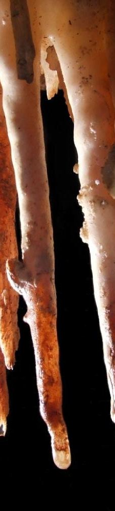 Jama - Grotta Baredine-Gedici