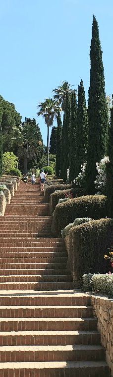 Jardin Botanico Marimurtra-布拉内斯