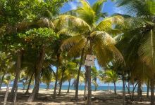Guajataca Beach景点图片