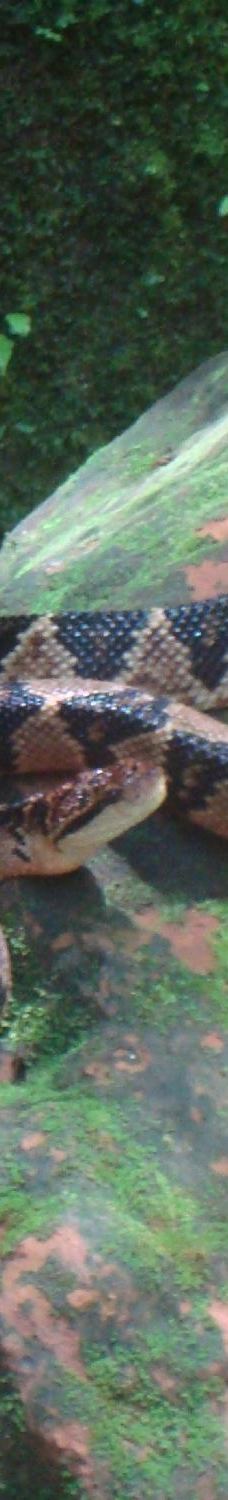 Amboro National Park-圣克鲁斯