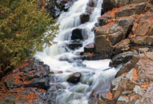 Chester Park景点图片