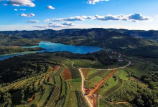 Karlic Tartufi购物图片