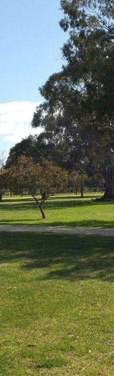 Penley Estate-库纳瓦拉