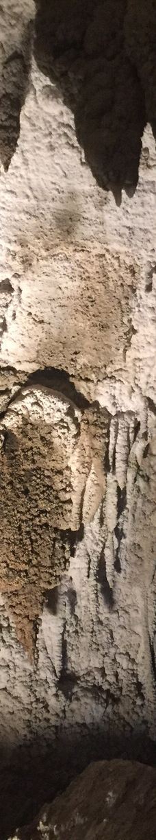 Ngarua Caves-Takaka Hill