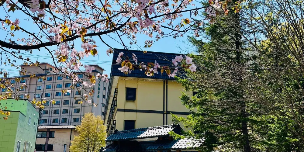 永安旅遊