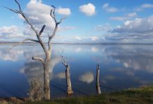 Winton Wetlands景点图片