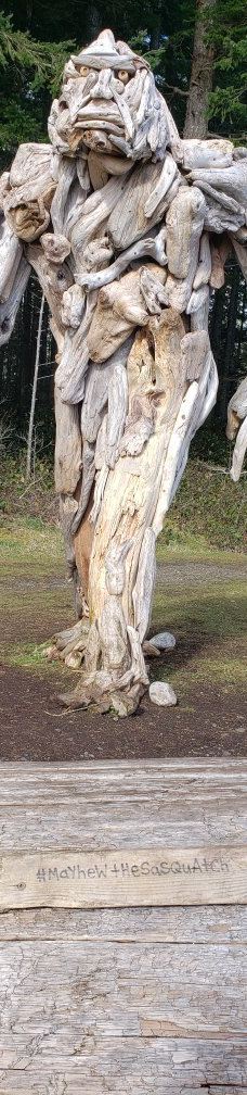 Rebecca Spit Marine Provincial Park-奎德拉岛