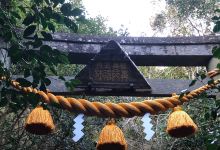鼻节神社景点图片