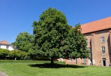 Kloster Cismar景点图片