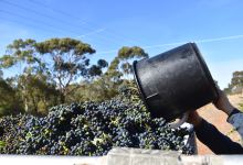 Ballycroft Vineyard and Cellars景点图片
