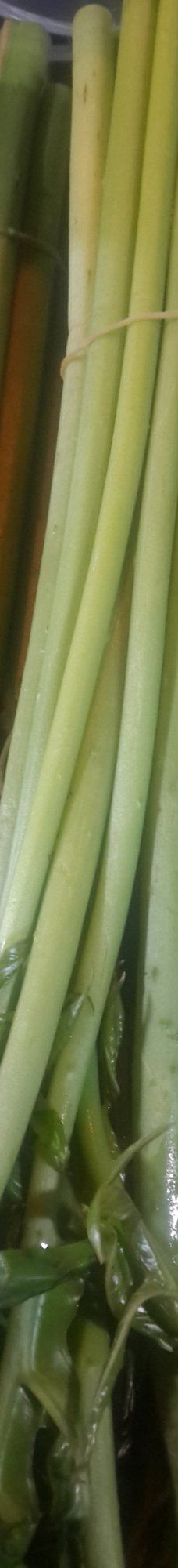 Chan Chala Night Market-董里