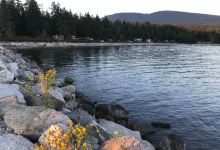 Roberts Creek Pier景点图片