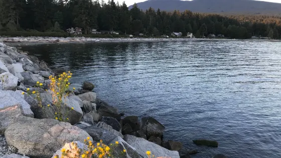 Roberts Creek Pier
