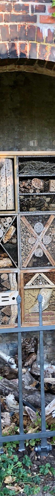 Alter Botanischer Garten-基尔