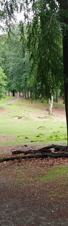 Dyrehaven Vejle-瓦埃勒