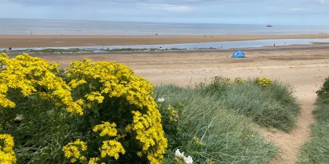 Marske Sands Beach