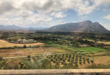 Sardovagando购物图片