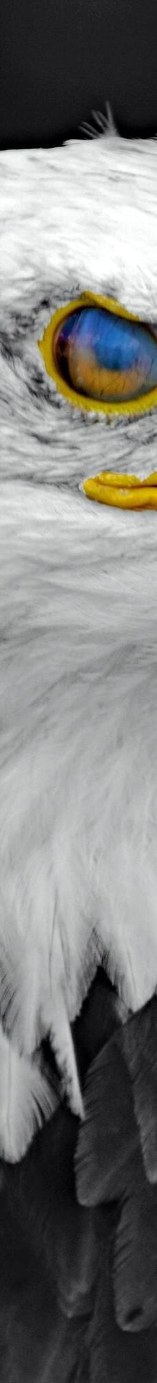 ErlebnisWald Trappenkamp-Daldorf