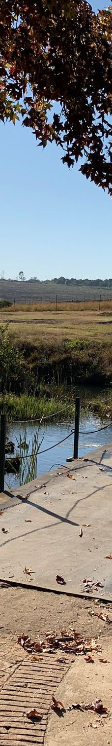 姆邦贝拉地方自治市