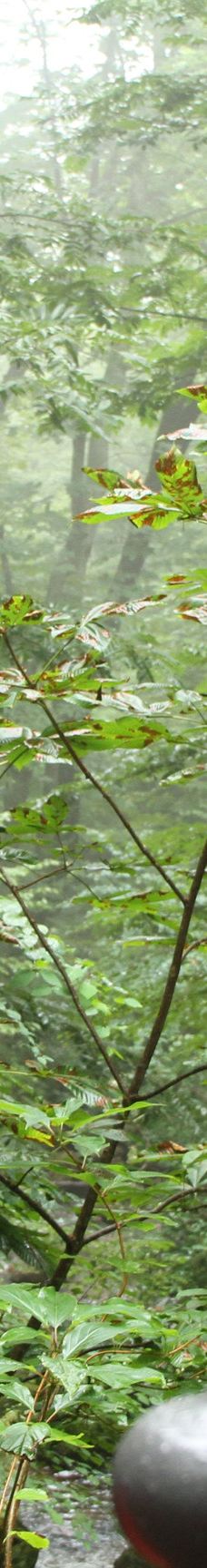 不动瀑布-八幡平市