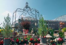 ハウス工藤園芸购物图片