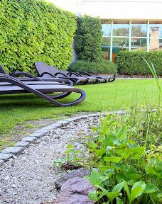 林巴赫－奥伯弗罗纳