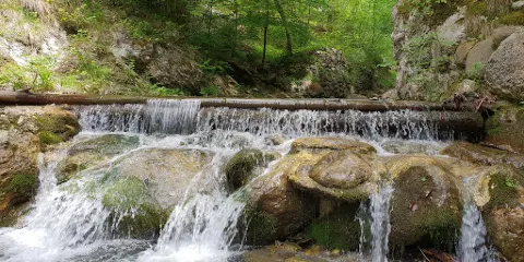 法蘭安游擊隊醫院