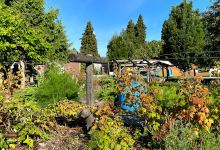 Seattle Children's PlayGarden景点图片