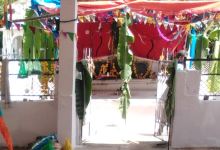 Teja Ji Maharaj Mandir景点图片