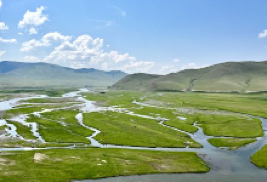 Tolgoin boolt景点图片