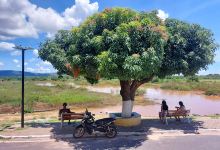 Cais do Porto景点图片