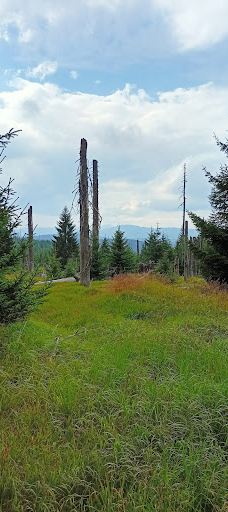 Poledník-普拉斯利