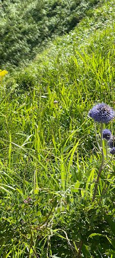 西湯浦園地展望所-阿苏市